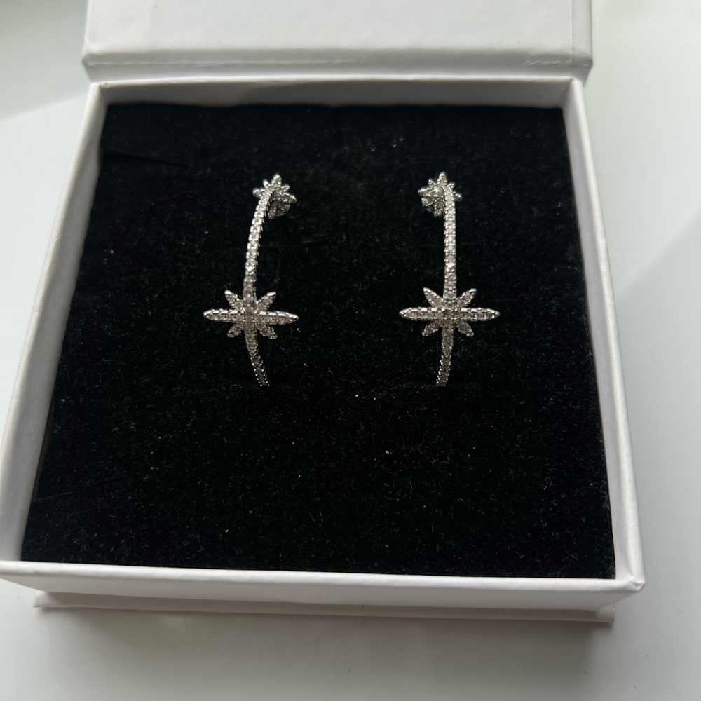 Elegant Silver Small Earrings
